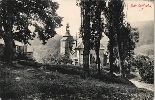 Bad Gottleuba-Bad Gottleuba-Berggießhübel Panorama-Ansicht Teilansicht 1905