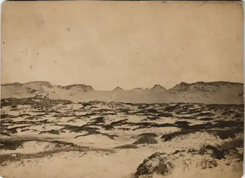 Foto Westerland-Sylt Dünen CDV Kabinettfoto 1880 Privatfoto Foto