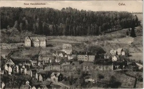 Ansichtskarte Calw Panorama-Ansicht 1916