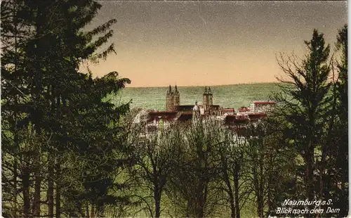 Ansichtskarte Naumburg (Saale) Stadtblick 1917