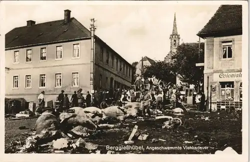 Bad Gottleuba-Berggießhübel Unwetter 8. Juli 1927 angeschwemmte Kadaver 1927