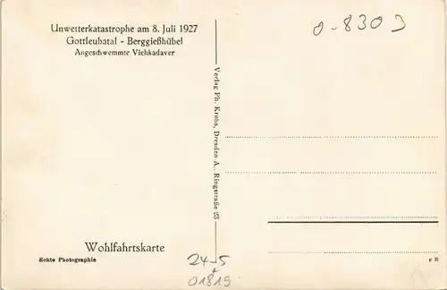 Bad Gottleuba-Berggießhübel Unwetter 8. Juli 1927 angeschwemmte Kadaver 1927