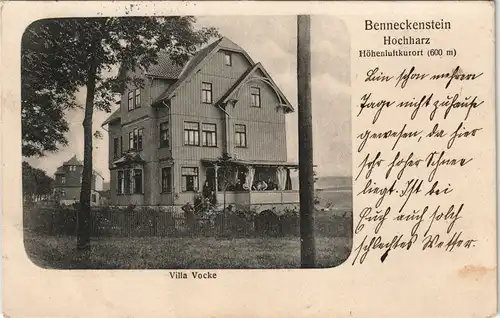 Ansichtskarte Benneckenstein Villa Vocke 1909