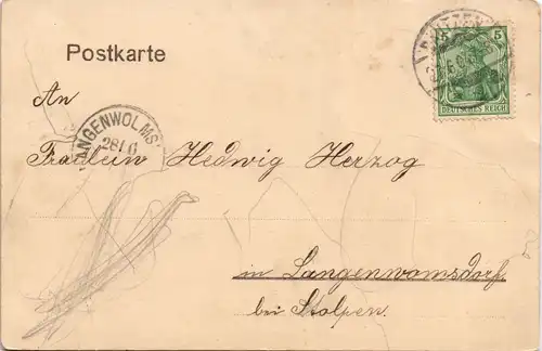 Ansichtskarte Bautzen Budyšin Marthastift - Frauen im Garten 1904