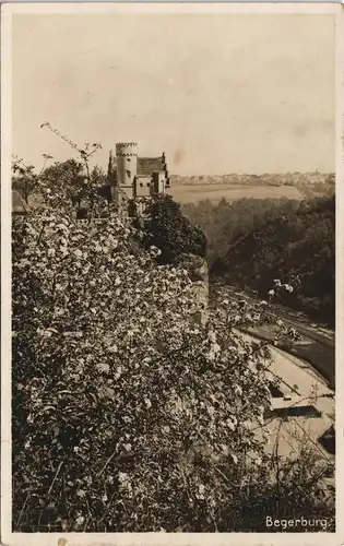 Ansichtskarte Plauen-Dresden Plauenscher Grund Begerburg 1930