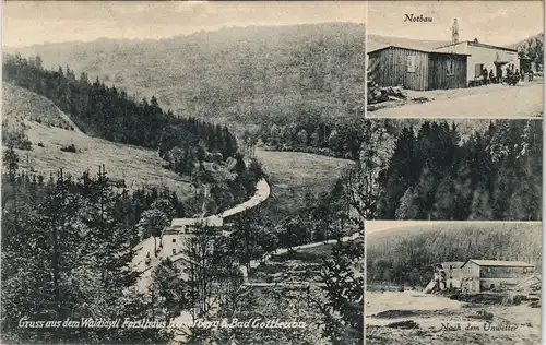 Bad Gottleuba-Berggießhübel  Forsthaus Haselberg  Nach dem Unwetter Notbau 1928