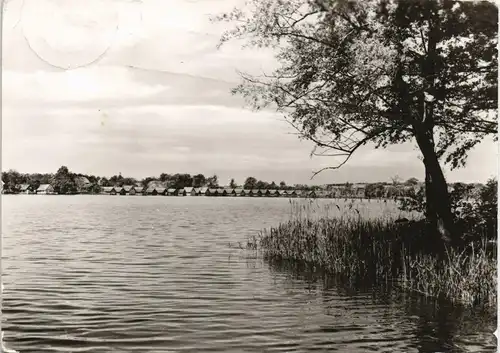 Ansichtskarte Mirow Mirower See Panorama Ansicht DDR AK 1983