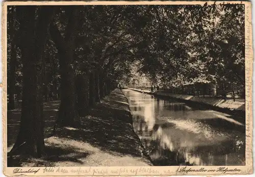 Ansichtskarte Düsseldorf Partie i.d. Seufzerallee Hofgarten 1931