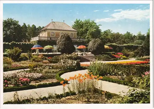 Ansichtskarte Nymphenburg-München Botanischer Garten (Vitacolor) 1934