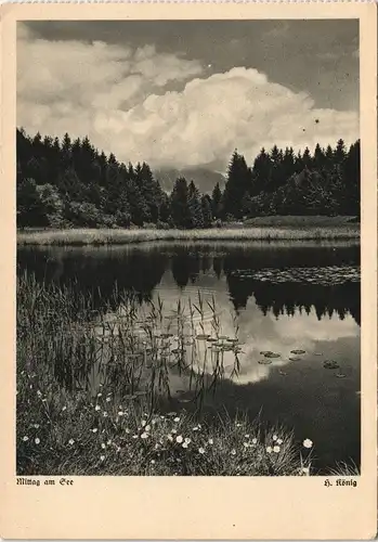 Ansichtskarte  Stimmungsbild: Mittag am See - H. König 1936