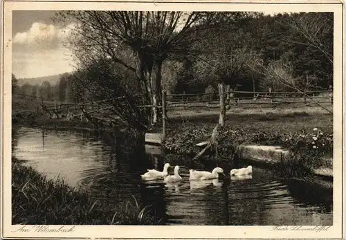 Ansichtskarte  Künstlerkarte Am Wiesenbach 1934