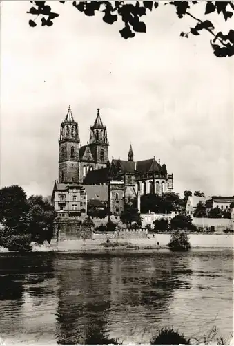 Ansichtskarte Altstadt-Magdeburg Dom Gesamtansicht DDR AK 1980/1979