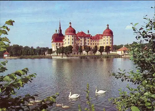 Moritzburg Kgl. Jagdschloss - Außenansicht mit Teichanlage mit Schwänen im Vordergrund 1986