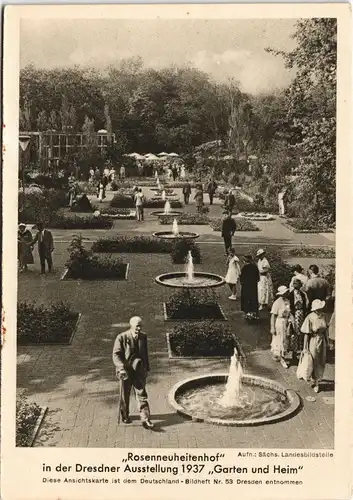 Ansichtskarte Dresden Ausstellung Garten und Heim - Rosenneuheitenhof 1937
