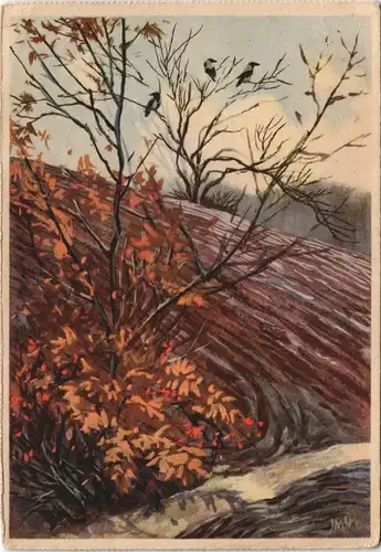 Eduscho Werbekarte - Kaffee - Landschaft