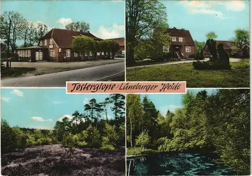 Ansichtskarte Tosterglope-Dahlenburg MB: Pension Hachmeister 1962