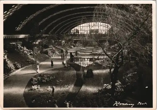 Ansichtskarte Halle (Westfalen) 3. Große Frühlingsblumenschau - Innen 1956