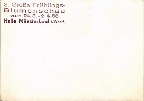 Ansichtskarte Halle (Westfalen) 3. Große Frühlingsblumenschau - Innen 1956