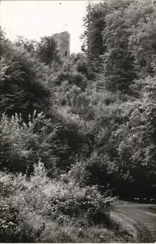 Ansichtskarte Hannoversch Münden Hann. Münden Ruine Bramburg 1960