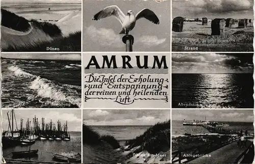 Insel Amrum Mehrbild-AK mit Möwe, Dünen, Strand, Brandung uvm. 1959