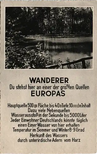 Ansichtskarte Rhumspringe Rhumequelle, Wanderer-Karte 1959