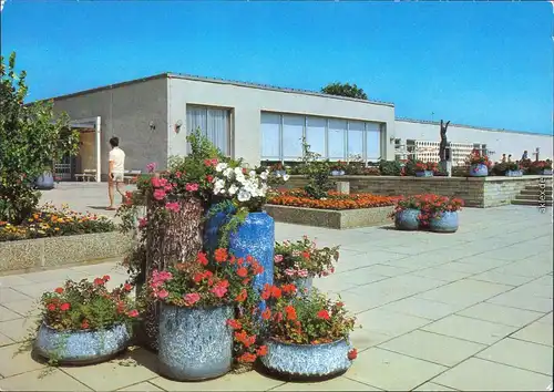 Ansichtskarte Dessau-Dessau-Roßlau Waldbad "Freundschaft" 1981