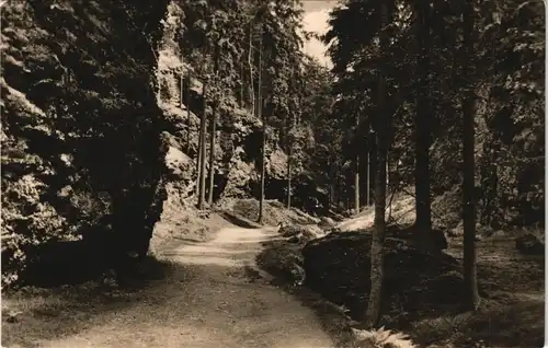 Tambach-Dietharz Marderbacheingang Thüringer Wald DDR Ansicht 1962