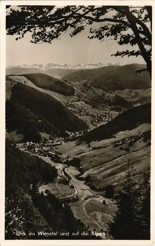 Ansichtskarte Todtnauberg Panorama Blick ins Wiesetal und auf die Alpen 1955