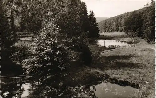 Ansichtskarte Bad Orb Blick vom Jagdhaus Haselruh 1964