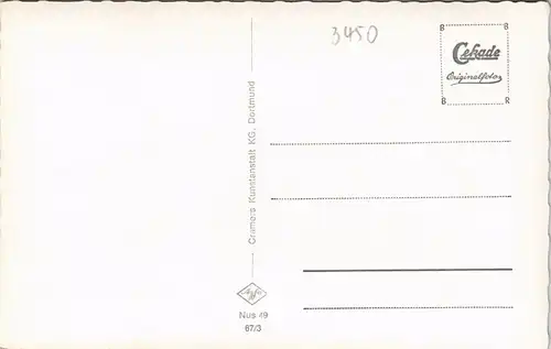 Ansichtskarte Neuhaus im Solling-Holzminden Umland Wald Partie 1967