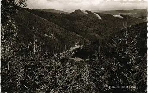 Wallau (Lahn)-Biedenkopf Blick ins Hainbachtal 1962   gelaufen Stempel WALLAU