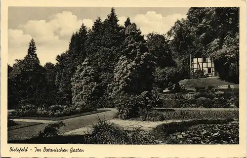 Ansichtskarte Bielefeld Partie im Botanischer Garten 1951