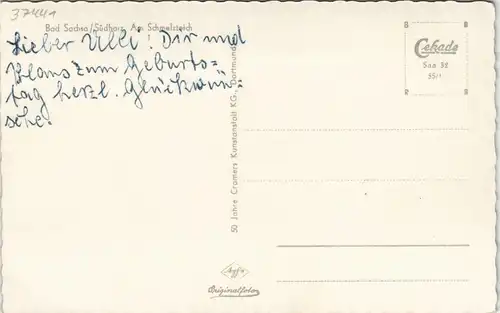 Ansichtskarte Bad Sachsa Partie Am Schmelzteich 1955
