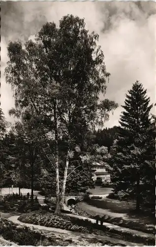 Ansichtskarte Bad Sachsa Partie im Kurpark 1955