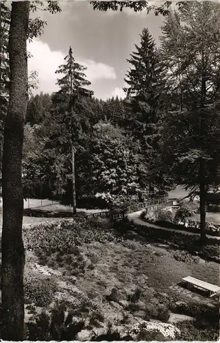 Ansichtskarte Bad Sachsa Kurpark 1956