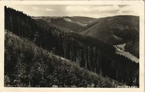 Frauenwald Thüringer Wald Rennsteig Schleusetal Panorama-Ansicht 1959