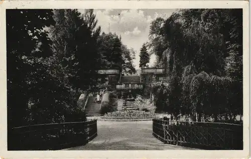 Ansichtskarte Riesa Freitreppe im Stadtpark DDR AK 1957/1956