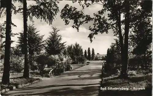 Ansichtskarte Bad Schmiedeberg Partie im Kurpark DDR AK 1963/1962