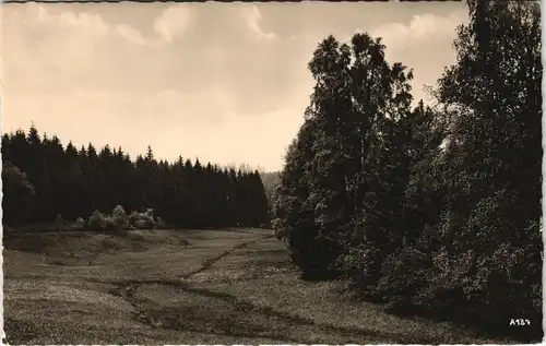 Ansichtskarte Neudorf (Harz) Partie im Birnbaumgrund DDR AK 1962