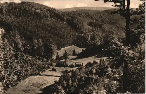 Ansichtskarte Frauenwald Blick ins Tränkbachtal DDR AK 1964/1963