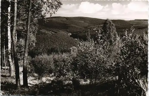 Ansichtskarte Bad Orb Umland-Ansicht Blick ins Haseltal 1960