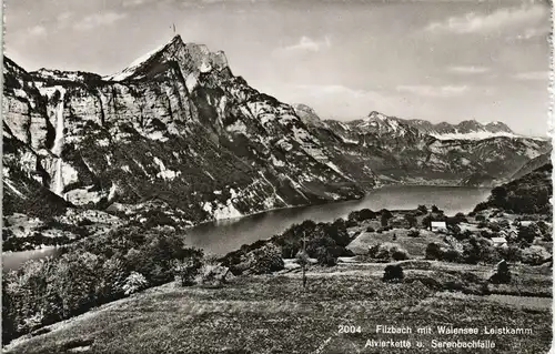 Ansichtskarte Filzbach Filzbach mit Walensee Leistkamm 1960