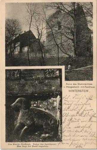 Ansichtskarte Waltershausen 2 Bild Ruine, Hunde-Denkmal 1906