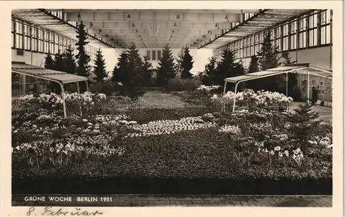 Berlin Grüne Woche Botanik Pflanzen Ausstellung Innenansicht 1951