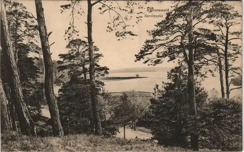 Ansichtskarte Grunewald-Berlin Havelpartie 1909