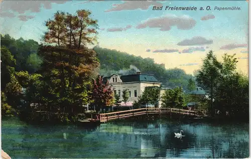 Ansichtskarte Bad Freienwalde Papenmühle 1908