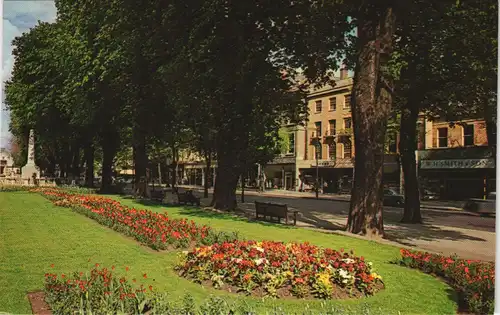 Postcard Cheltenham Tree lined Promenade in Cheltenham 1970