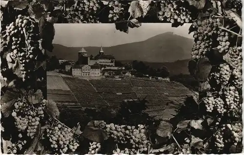 Gernsbach Schloss Eberstein im Murgtal, Wein-Weinbau-Motive 1961