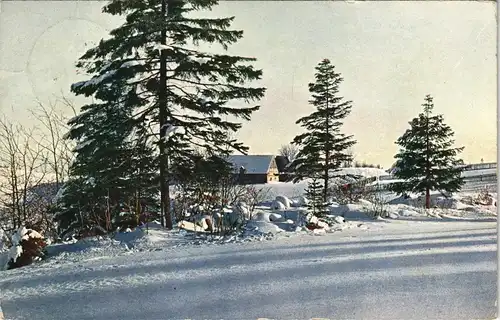 Ansichtskarte Geising-Altenberg (Erzgebirge) Oberes Vorwerk im Winter 1912