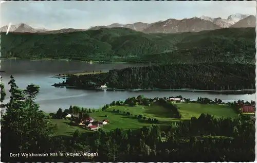 Urfeld-Kochel am See Dorf Walchensee  Scharfreiter u. Karwendelgebirge 1960